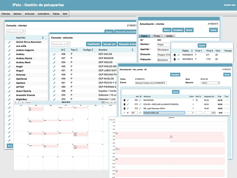 Gestión de Peluquerías – iPelu